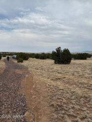 78 County Road 8010, Concho, Arizona 85924, ,Land,For Sale,County Road 8010,257648