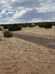 76 County Road 8010, Concho, Arizona 85924, ,Land,For Sale,County Road 8010,257645