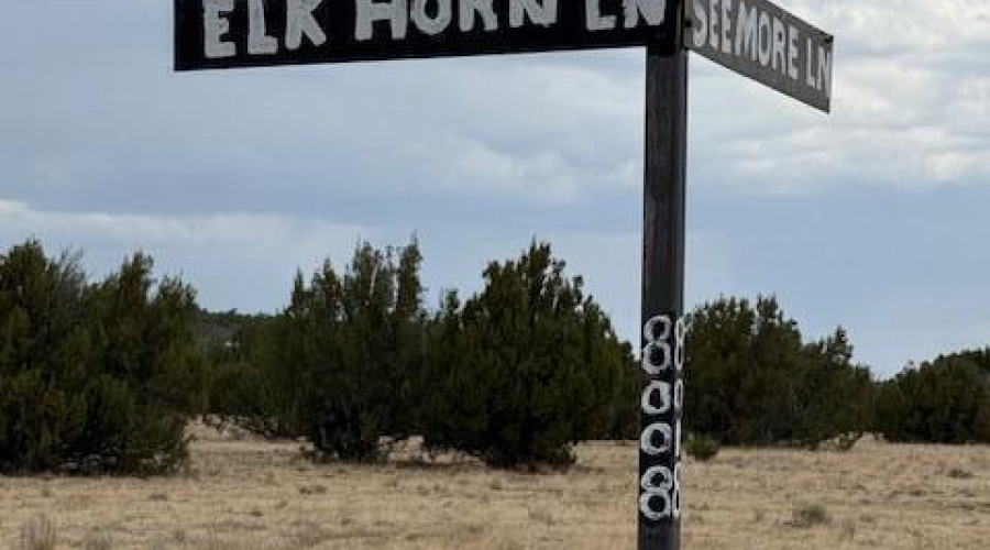 Elk Horn 8008