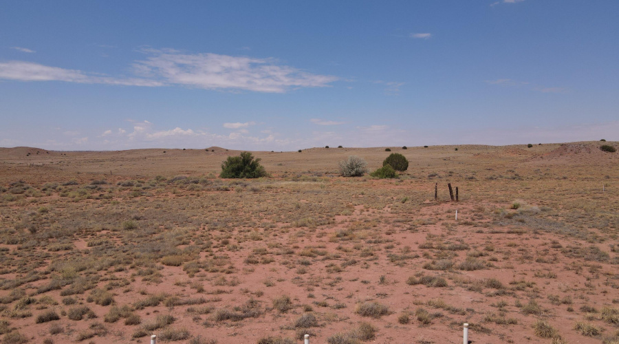 dji_fly_20250717_111102_813_175277601158