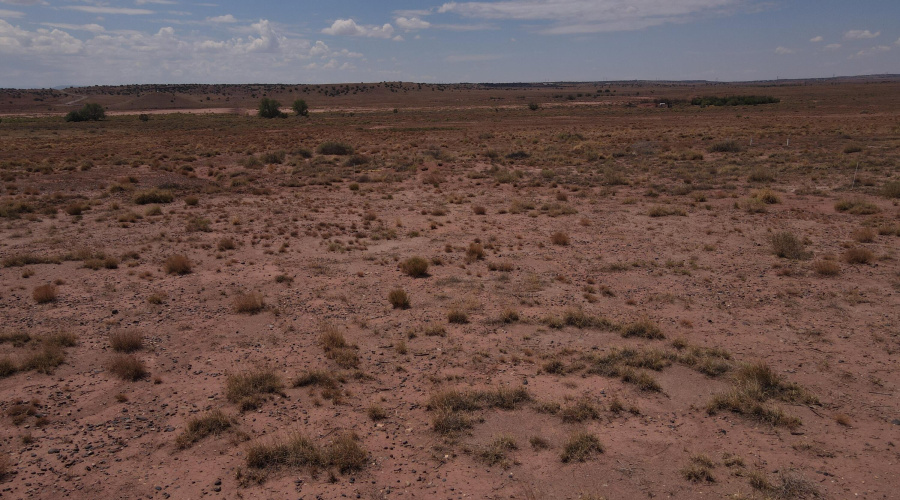 dji_fly_20250717_111508_832_175277616846