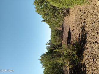 TBD County Road 3197 Lot 46, Vernon, Arizona 85940, ,Land,For Sale,County Road 3197 Lot 46,257479