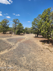 15 Co Rd 3041, Concho, Arizona 85924, ,Land,For Sale,Co Rd 3041,257633