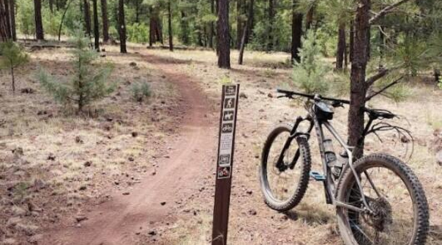 Screenshot 2025-08-22 034838