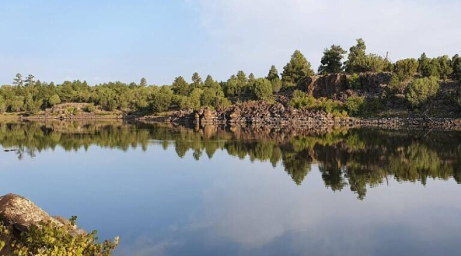 Screenshot 2025-08-22 034904