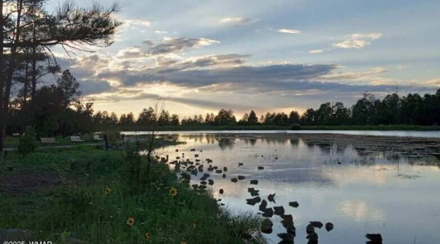 Screenshot 2025-08-22 034916