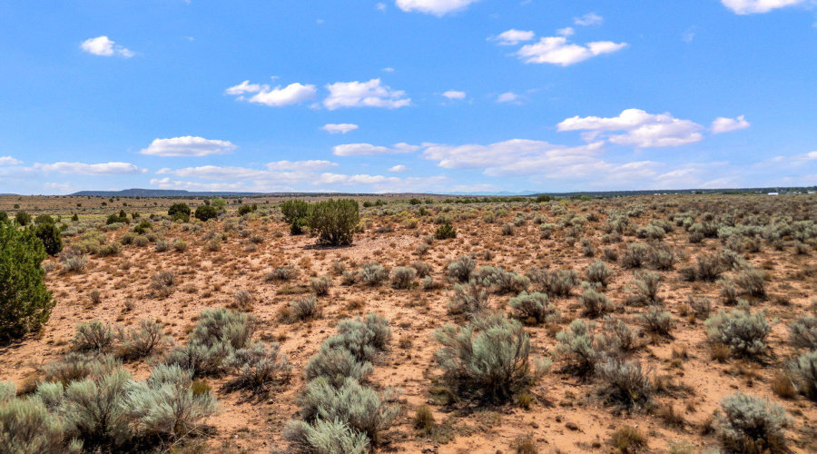 0BourdonRanchRd-Taylor-AZ-20