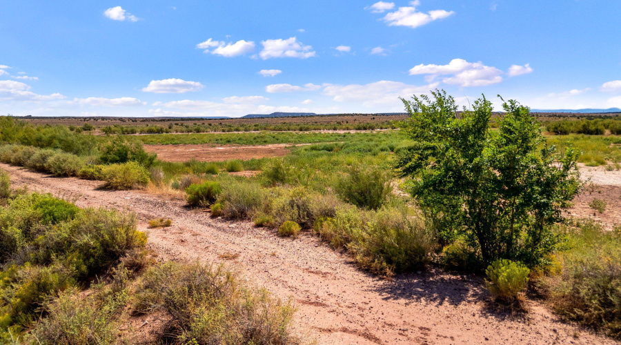 0BourdonRanchRd-Taylor-AZ-18