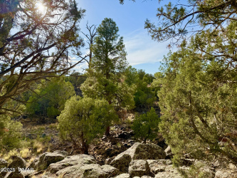 1842 Rocky Bottom Place, Show Low, Arizona 85901, ,Land,For Sale,Rocky Bottom,257673