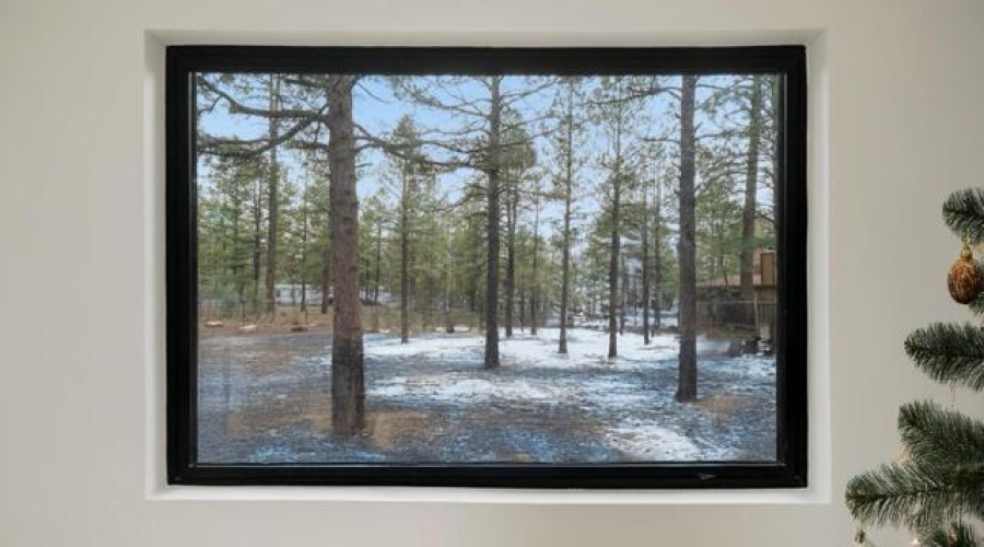 Primary Bedroom View