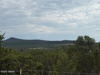 TBD CR 3076-A, Vernon, Arizona 85940, ,Land,For Sale,CR 3076-A,257679