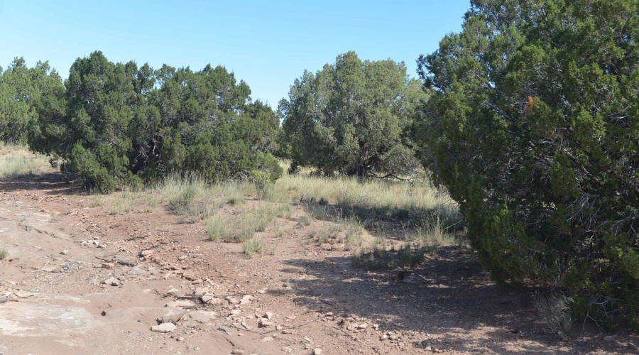 New Land Listings 078