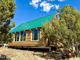 TBD Co Rd N3109 9.11 Acres, Vernon, Arizona 85940, ,Land,For Sale,Co Rd N3109 9.11 Acres,257672