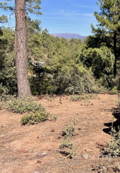 700 Tyler Parkway, Payson, Arizona 85541, ,Land,For Sale,Tyler,92784