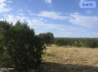 1535 Chevelon Avenue, Heber, Arizona 85928, ,Land,For Sale,Chevelon,91690