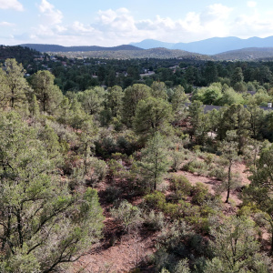 DJI_20250826165219_0016_D