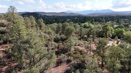 811 Sherwood Drive, Payson, Arizona 85541, ,Land,For Sale,Sherwood,92788