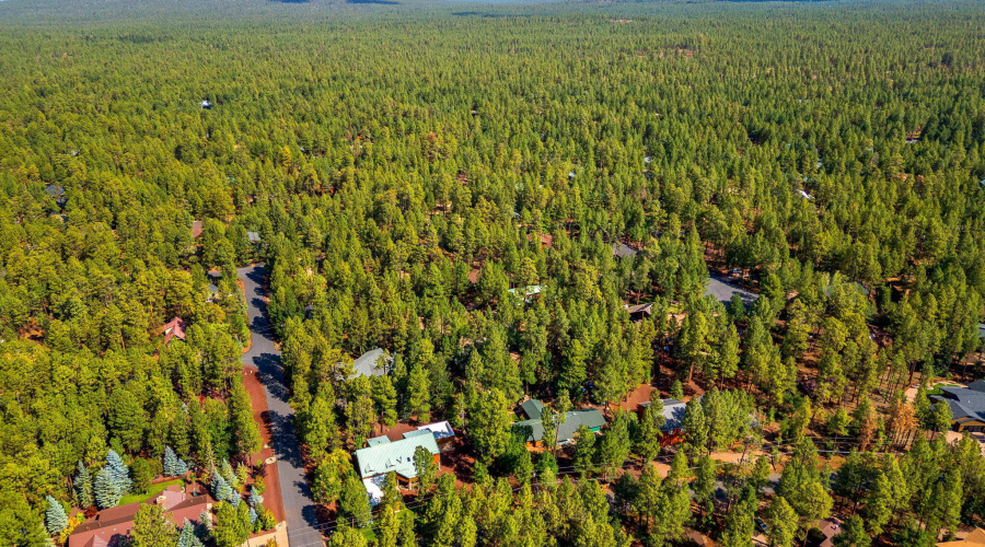 6735SunsetTrail-Pinetop-AZ-31