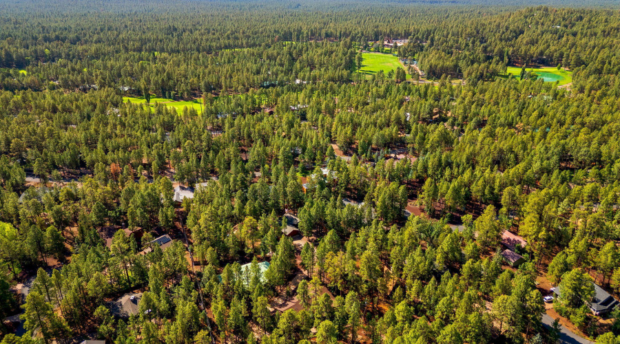 6735SunsetTrail-Pinetop-AZ-32