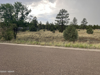 1900 Commerce Drive, Pinetop, Arizona 85935, ,Land,For Sale,Commerce,257699