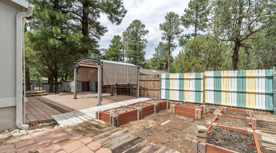 Brian Durbin Photo Backyard