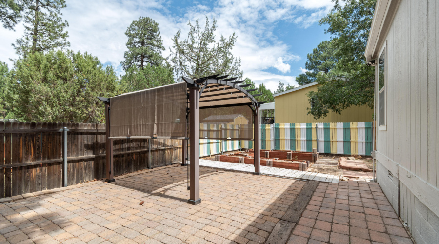 Brian Durbin Photo Backyard