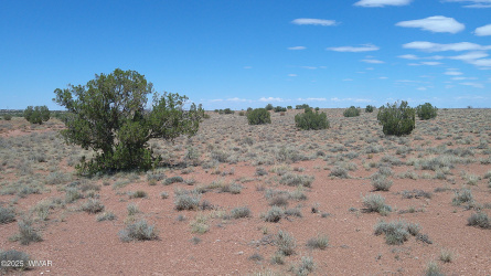 5127 Windmill Lane, Snowflake, Arizona 85937, ,Land,For Sale,Windmill,257698