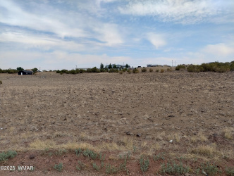 8528 Javelina Drive, Show Low, Arizona 85901, ,Land,For Sale,Javelina,257721