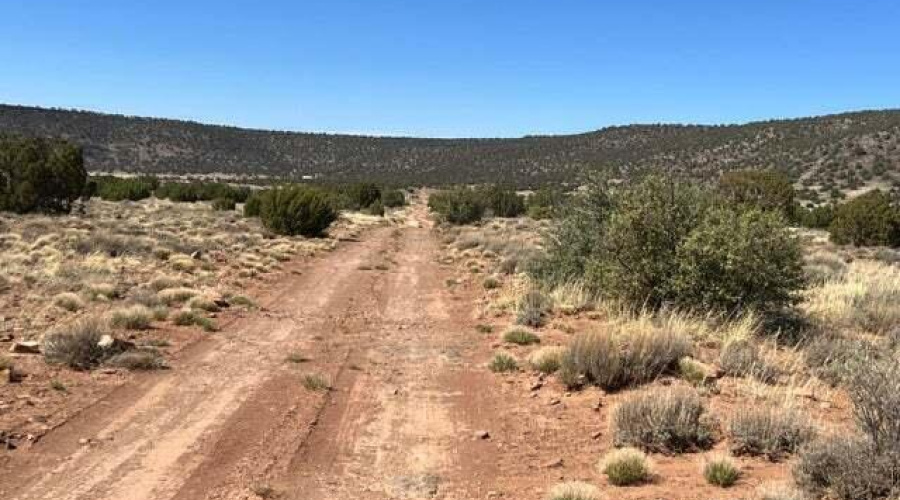 3871 Del Contento road