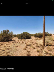 4114-4116 Colt Road, Snowflake, Arizona 85937, ,Land,For Sale,Colt,257711