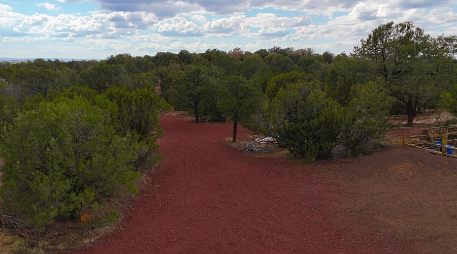 900AA8EF-123B-4242-B617-3675AD36A501