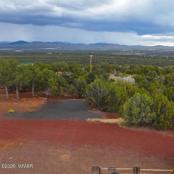 35445 AZ-61, Concho, Arizona 85924, ,Land,For Sale,AZ-61,257716