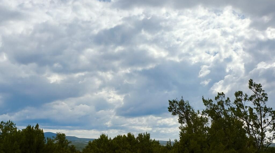 95F95AE9-F6E6-4310-957D-6A9ED5C521B8