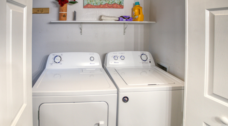 Paxmanphoto_PAX_0712