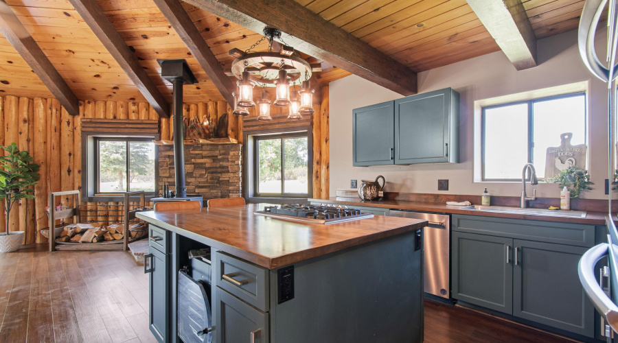 Kitchen w/ dehydrator & freeze drier