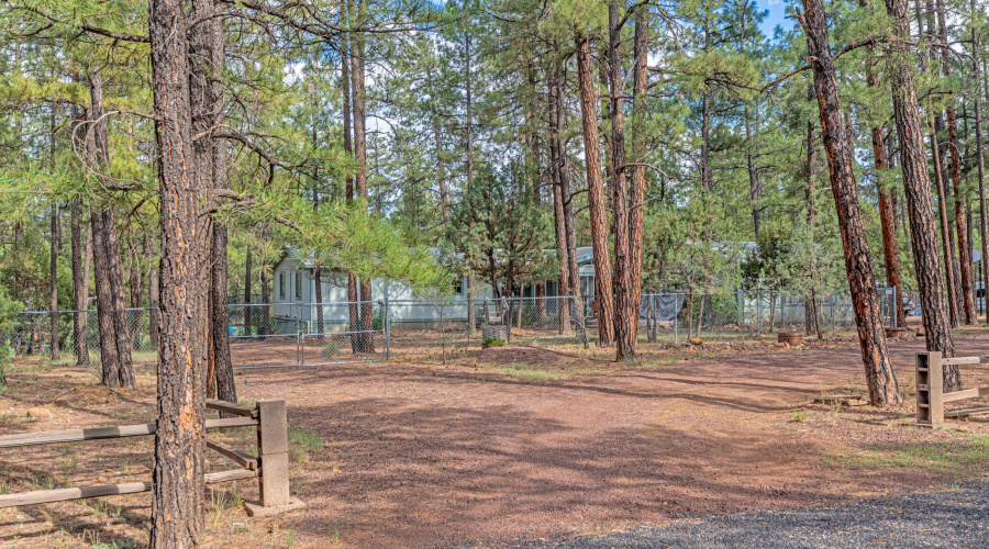 Nestled in the Trees