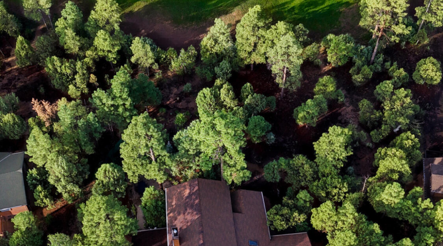 DJI_20250826070457_0207_D