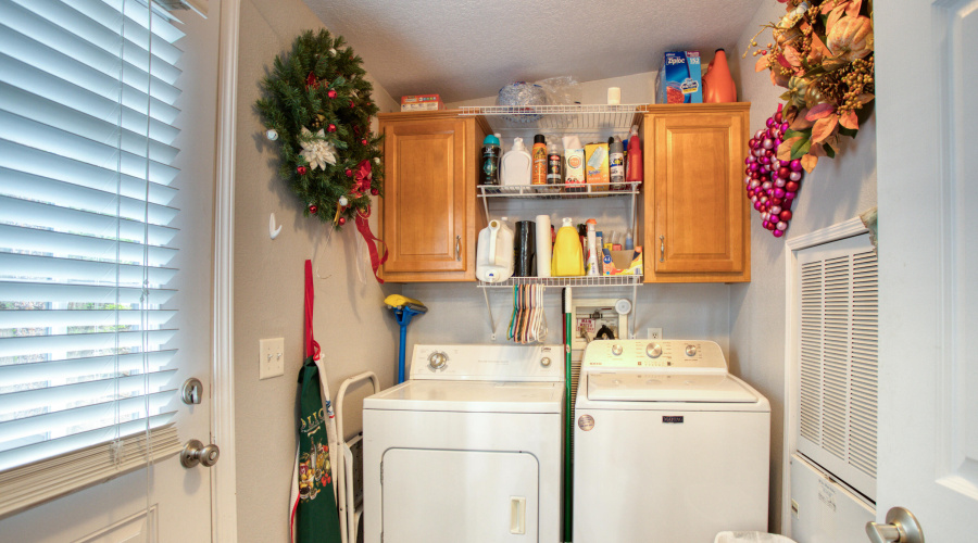 Paxmanphoto_PAX_0470