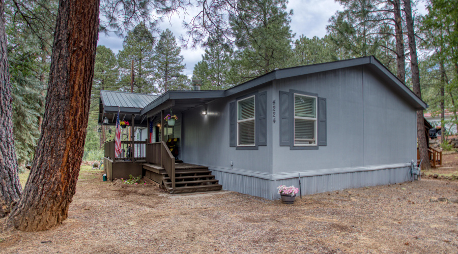 Paxmanphoto_PAX_0515