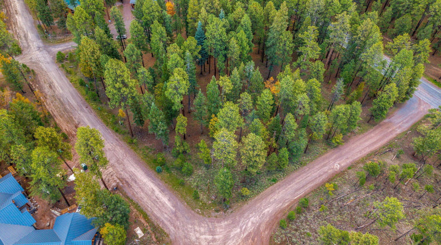 Parcel10172074-AlpineAZ-8