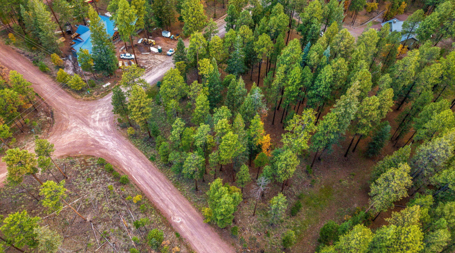 Parcel10172074-AlpineAZ-9