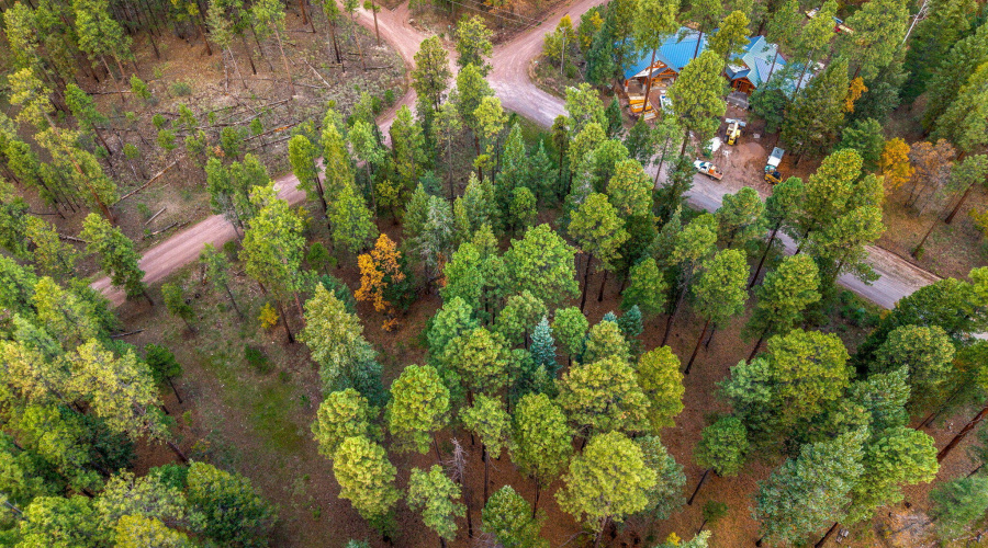 Parcel10172074-AlpineAZ-11