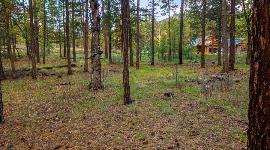 Parcel10172074-AlpineAZ-12