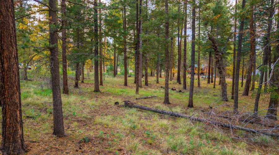 Parcel10172074-AlpineAZ-13