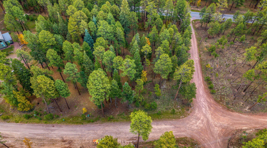 Parcel10172074-AlpineAZ-7