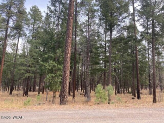 000 COUNTY ROAD 2196, Alpine, Arizona 85920, ,Land,For Sale,COUNTY ROAD 2196,248796