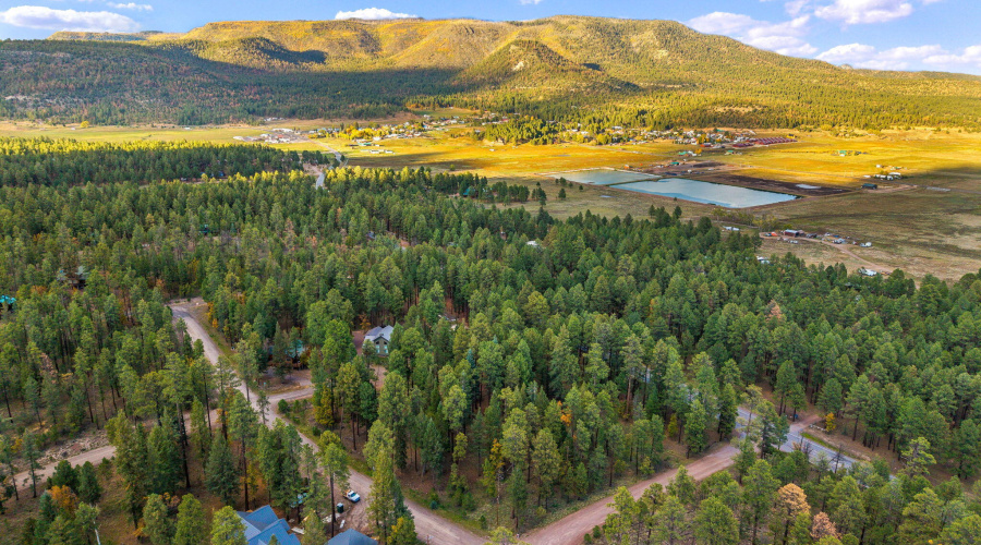 Parcel10172074-AlpineAZ-1