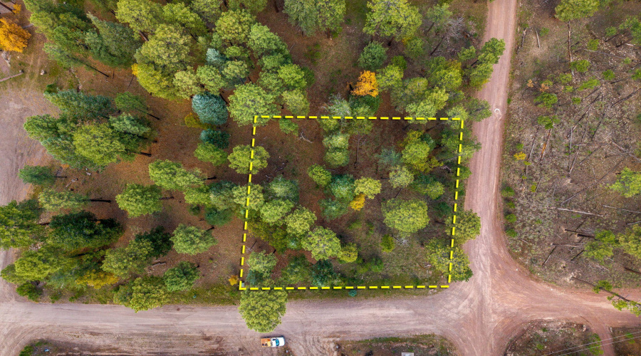 Parcel10172074-AlpineAZ-16