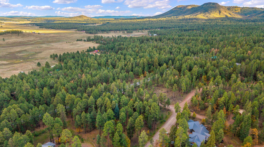 Parcel10172074-AlpineAZ-4