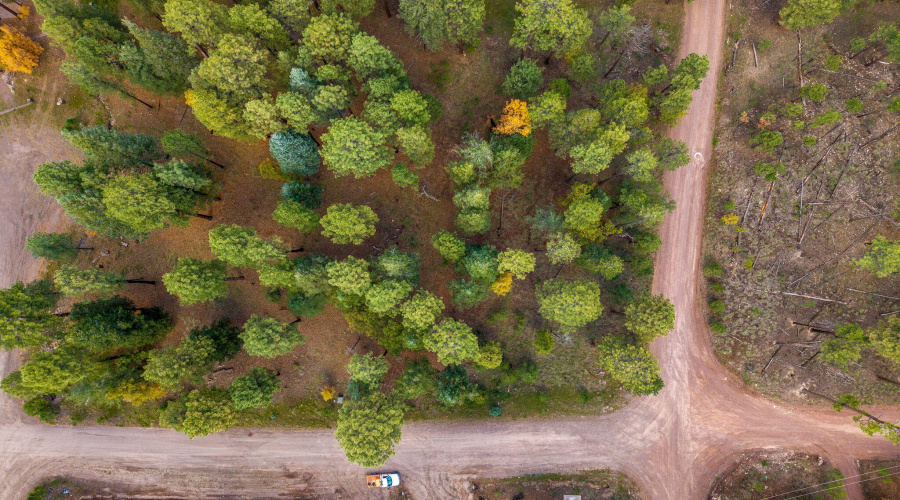 Parcel10172074-AlpineAZ-5